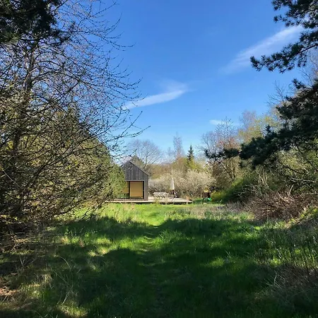 Small Forest Near بيت للعطل *