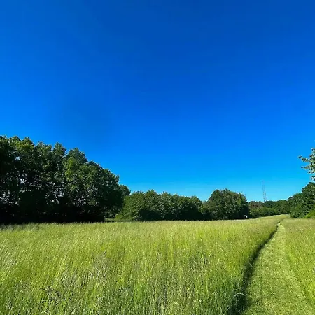 Small Forest Near بيت للعطل Vejby